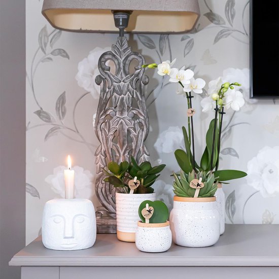 Witte orchideeën met groene bladeren op een dressoir, naast een witte kandelaar in de vorm van een hoofd.