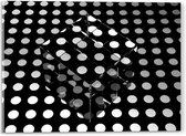 Acrylglas - Doorzichtige Kubus op Ondergrond van Witte Stippen op Zwarte Ondergrond - 40x30 cm Foto op Acrylglas (Met Ophangsysteem)
