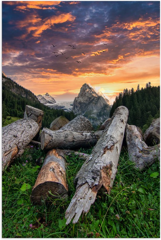 Poster Glanzend – Vogels Vliegend boven Grote Boomstronken Hoog in de Bergen tijdens Zonsondergang - 60x90 cm Foto op Posterpapier met Glanzende Afwerking