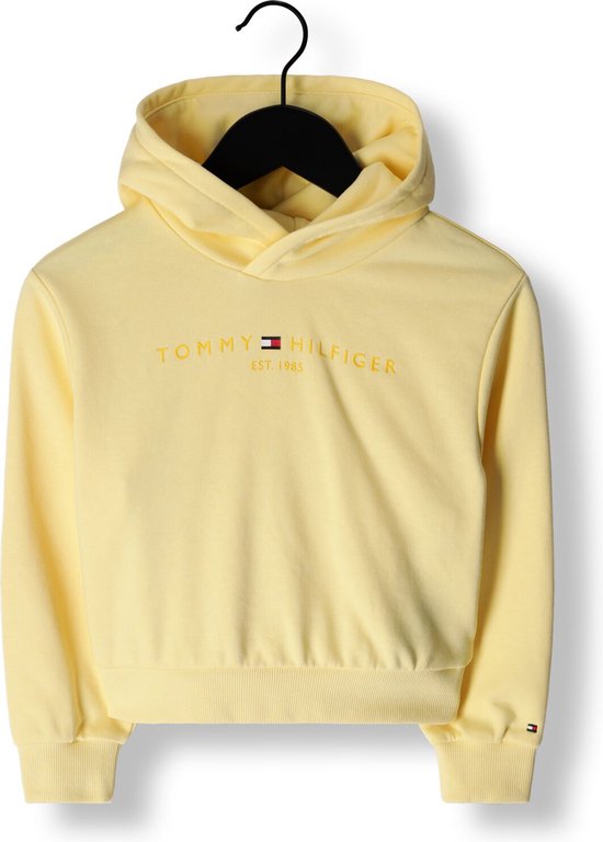 Corroderen Onbekwaamheid slijm Tommy Hilfiger Essential Logo Hoodie Truien & Vesten Meisjes - Sweater -  Hoodie -... | bol.com
