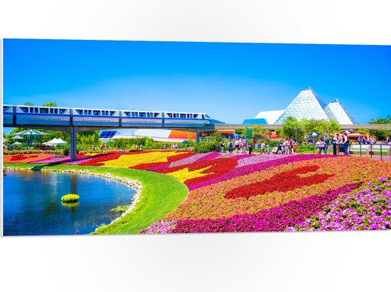 WallClassics - PVC Schuimplaat - Kleurrijk Bloemenveld in Park - 100x50 cm Foto op PVC Schuimplaat (Met Ophangsysteem)