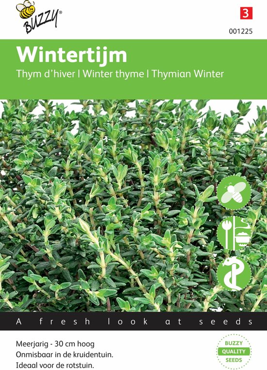 Buzzy Zaden Tijm Echte Winter Thymus vulgaris
