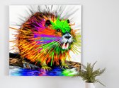 Muskusrat kleurenexplosie | Muskusrat kleurenexplosie | Kunst - 60x60 centimeter op Canvas | Foto op Canvas - wanddecoratie schilderij