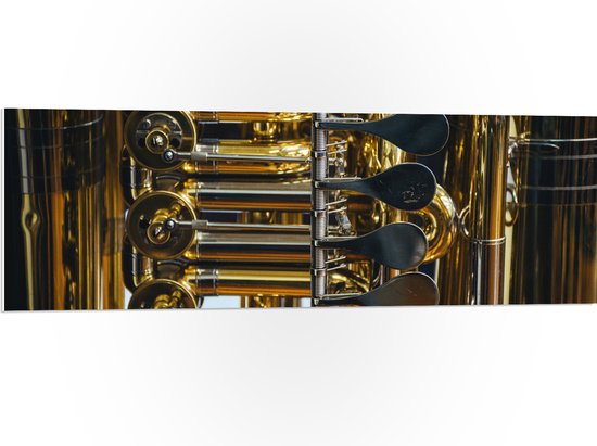 PVC Schuimplaat - Knoppen van Gouden Trompet - 120x40 cm Foto op PVC Schuimplaat (Met Ophangsysteem)