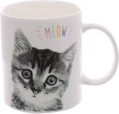 Coupe chaton-