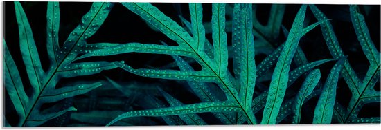 Acrylglas - Druppels op Groene Planten in Donkere Omgeving - 90x30 cm Foto op Acrylglas (Met Ophangsysteem)