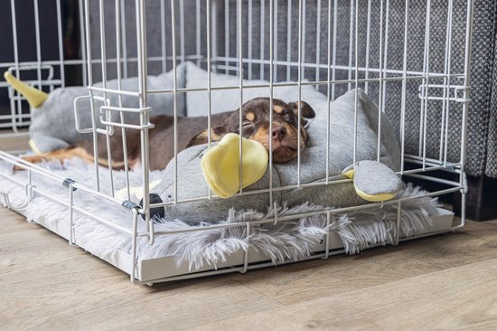 Bruine puppy slaapt in een grijze knuffelhond met gele oren in een bench.