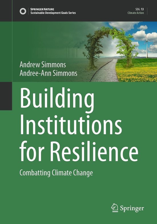Sustainable Development Goals Series - Building Institutions for ...