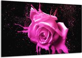 Schilderij Op Canvas Roos - Roze, Zwart - 120x70cm 1Luik - Foto Op Canvas - GroepArt 6000+ Schilderijen 0p Canvas Art Collectie - Wanddecoratie - Woonkamer - Slaapkamer - Canvas Print