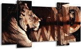 Peinture sur toile Lion | Marron noir | 120x65 5 Liège