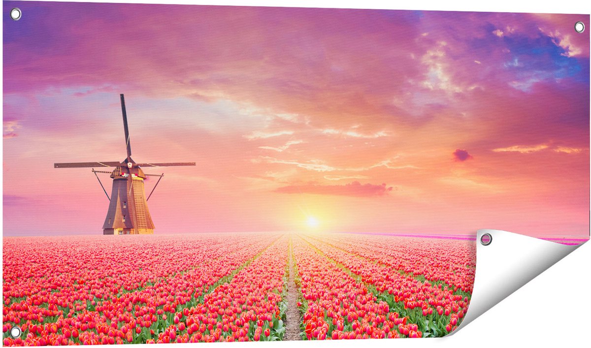 Gards Tuinposter Rode Rozen Bloemenveld met een Windmolen - 100x50 cm - Tuindoek - Tuindecoratie - Wanddecoratie buiten - Tuinschilderij Multikleur