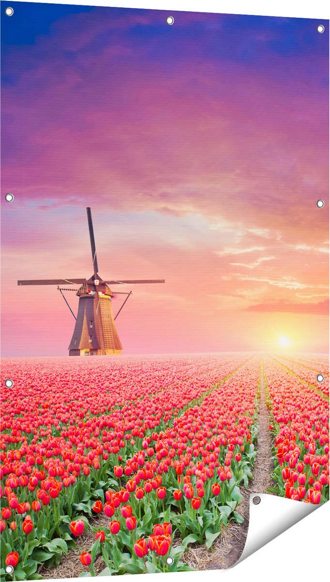 Gards Tuinposter Rode Rozen Bloemenveld met een Windmolen - 80x120 cm - Tuindoek - Tuindecoratie - Wanddecoratie buiten - Tuinschilderij Multikleur