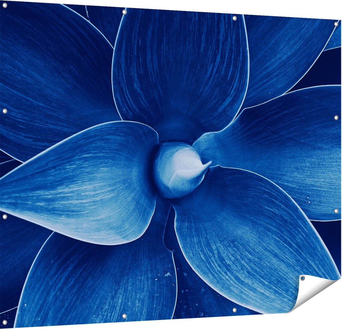 Gards Tuinposter Blauwe Agave Plant - Bloem - 150x120 cm - Tuindoek - Tuindecoratie - Wanddecoratie buiten - Tuinschilderij Multikleur