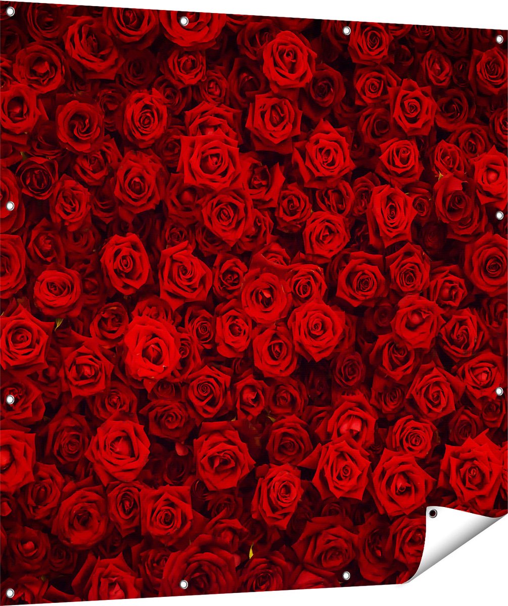 Gards Tuinposter Rode Rozen Achtergrond - 120x120 cm - Tuindoek - Tuindecoratie - Wanddecoratie buiten - Tuinschilderij Multikleur