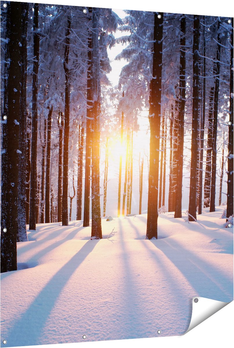 Gards Tuinposter Bos met Sneeuw tijdens de Zonsondergang - 120x150 cm - Tuindoek - Tuindecoratie - Wanddecoratie buiten - Tuinschilderij Multikleur