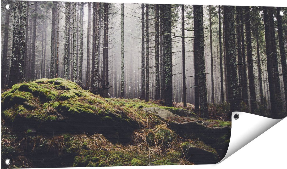 Gards Tuinposter Bos met Mos op Rotsen - 100x50 cm - Tuindoek - Tuindecoratie - Wanddecoratie buiten - Tuinschilderij Multikleur
