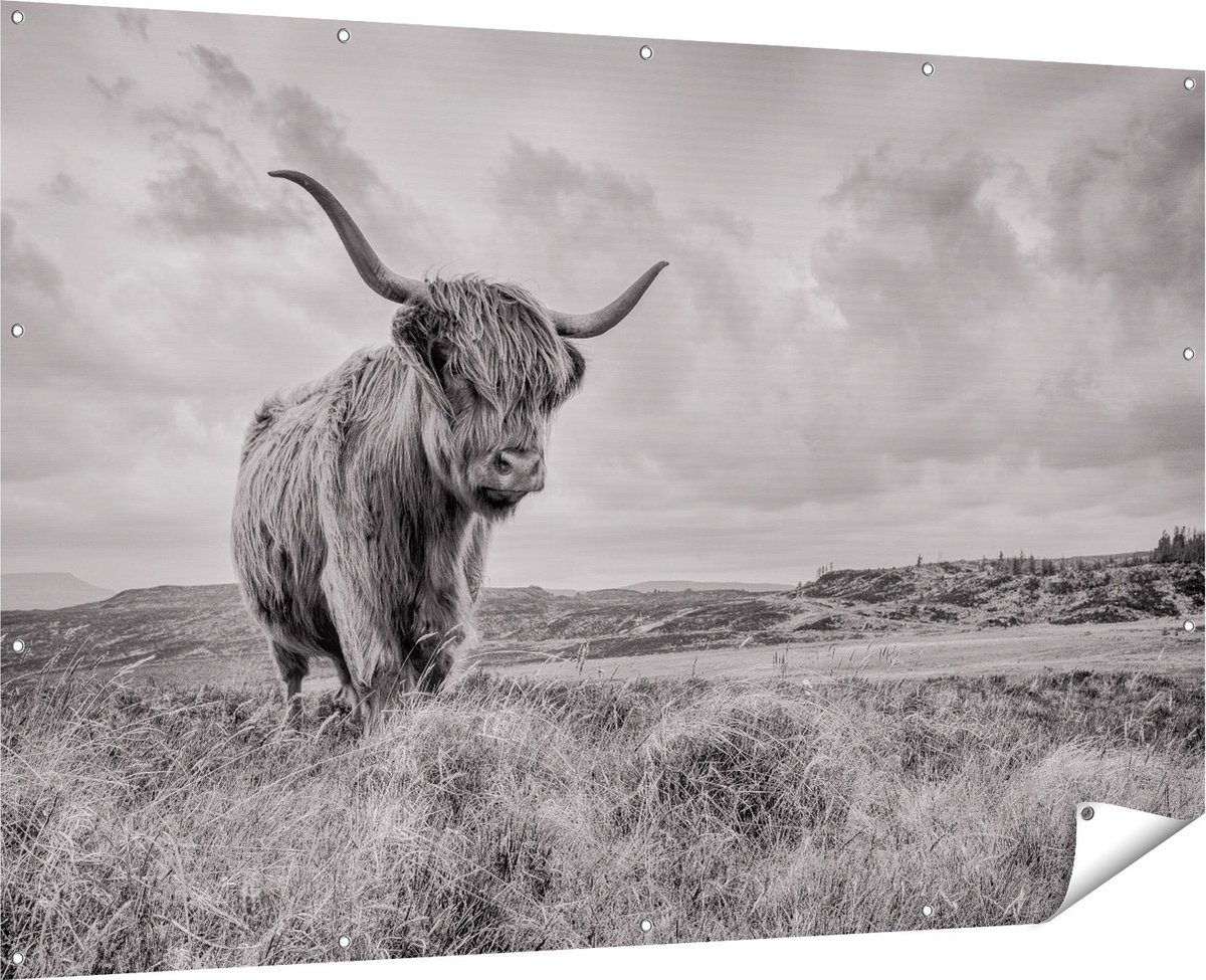 Gards Tuinposter Schotse Hooglander in de Wei - Zwart Wit - 180x120 cm - Tuindoek - Tuindecoratie - Wanddecoratie buiten - Tuinschilderij Multikleur