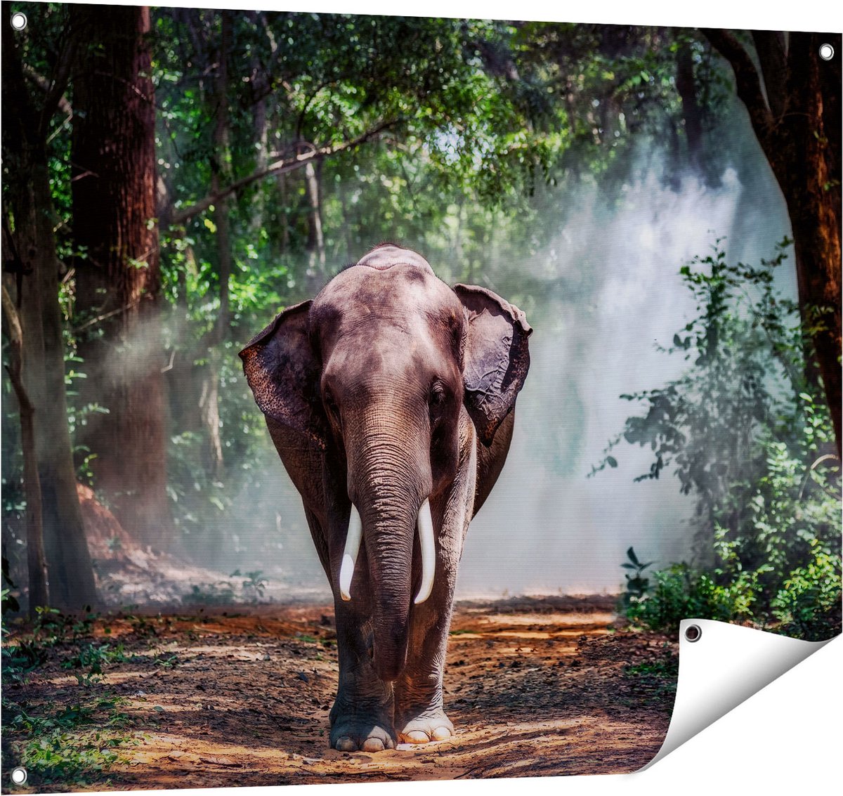 Gards Tuinposter Olifant in het Bos - 100x80 cm - Tuindoek - Tuindecoratie - Wanddecoratie buiten - Tuinschilderij Multikleur
