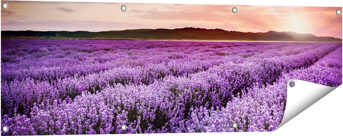 Gards Tuinposter Bloemenveld met Paarse Lavendel - Bloemen - 120x40 cm - Tuindoek - Tuindecoratie - Wanddecoratie buiten - Tuinschilderij Multikleur