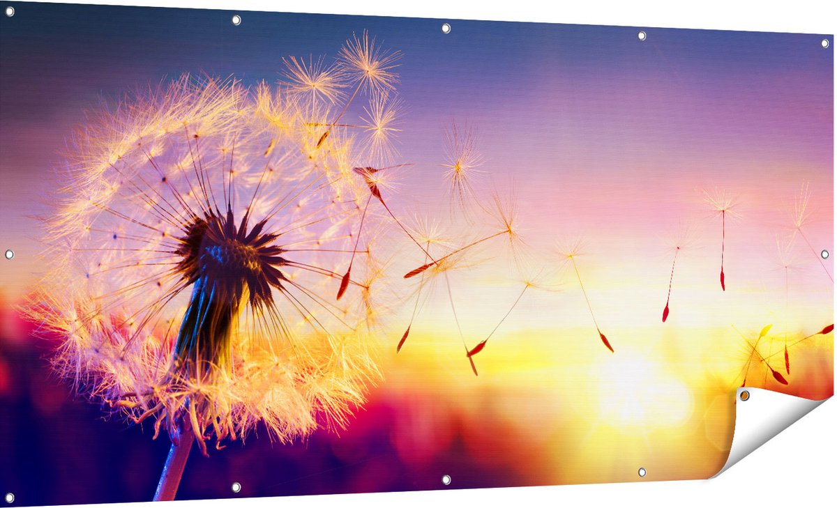 Gards Tuinposter Paardenbloem tijdens Zonsondergang - 180x90 cm - Tuindoek - Tuindecoratie - Wanddecoratie buiten - Tuinschilderij Multikleur