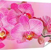 Gards Tuinposter Roze Orchidee Bloemen - 150x120 cm - Tuindoek - Tuindecoratie - Wanddecoratie buiten - Tuinschilderij