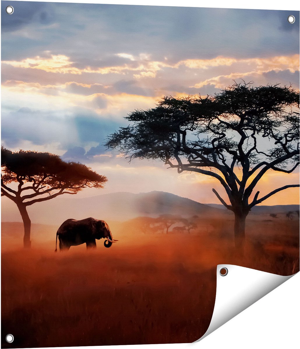 Gards Tuinposter Olifant in het Wild - Savanne - 70x70 cm - Tuindoek - Tuindecoratie - Wanddecoratie buiten - Tuinschilderij Multikleur