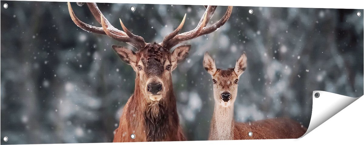 Gards Tuinposter Twee Herten met Sneeuw - 150x50 cm - Tuindoek - Tuindecoratie - Wanddecoratie buiten - Tuinschilderij Multikleur