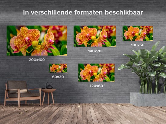 Gards Affiche de jardin Fleurs d'orchidées rouges jaunes - 200x100 cm - Toile jardin - Décoration de jardin - Décoration murale extérieur - Tableau jardin