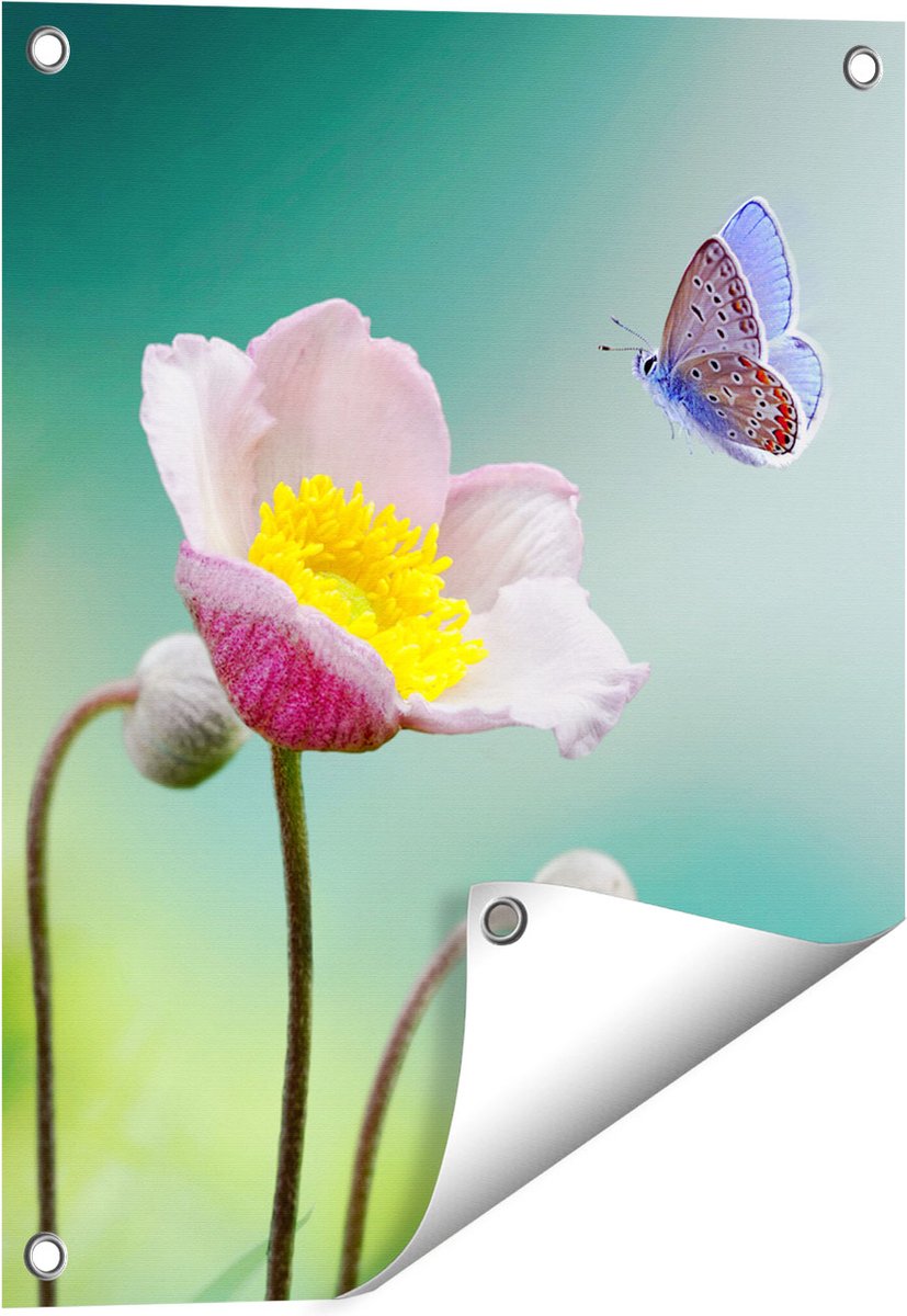 Gards Tuinposter Roze Anemoon Bloem met een Blauwe Vlinder - 40x50 cm - Tuindoek - Tuindecoratie - Wanddecoratie buiten - Tuinschilderij Multikleur