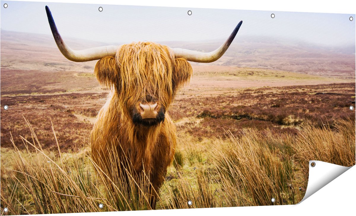 Gards Tuinposter Schotse Hooglander Koe in het Veld - 160x80 cm - Tuindoek - Tuindecoratie - Wanddecoratie buiten - Tuinschilderij Multikleur