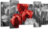 GroepArt - Schilderij - Tulpen - Rood, Grijs, Zwart - 120x65 5Luik - Foto Op Canvas - GroepArt 6000+ Schilderijen 0p Canvas Art Collectie - Wanddecoratie