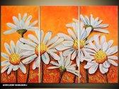 Schilderij -  Natuur - Oranje, Wit - 120x80cm 3Luik - GroepArt - Handgeschilderd Schilderij - Canvas Schilderij - Wanddecoratie - Woonkamer - Slaapkamer - Geschilderd Door Onze Kunstenaars 2000+Collectie Maatwerk Mogelijk