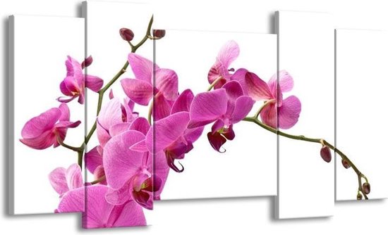 GroepArt - Schilderij - Orchidee - Roze, Wit - 120x65 5Luik - Foto Op Canvas - GroepArt 6000+ Schilderijen 0p Canvas Art Collectie - Wanddecoratie