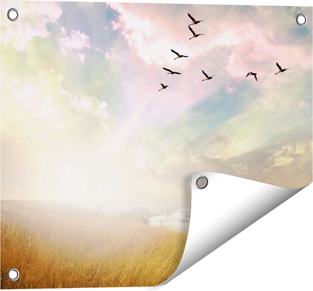 Gards Tuinposter Groep Vogels Vliegen Boven het Gras - 50x40 cm - Tuindoek - Tuindecoratie - Wanddecoratie buiten - Tuinschilderij Multikleur