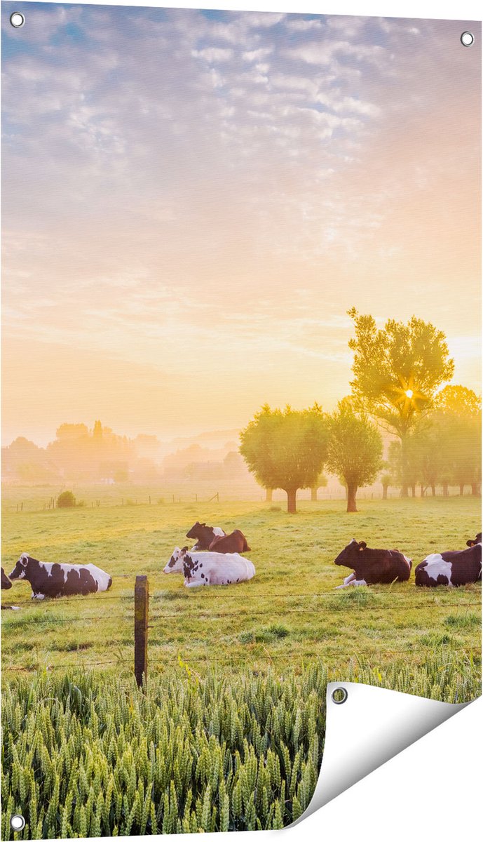 Gards Tuinposter Koeien in de Wei tijdens Zonsopgang - 60x90 cm - Tuindoek - Tuindecoratie - Wanddecoratie buiten - Tuinschilderij Multikleur