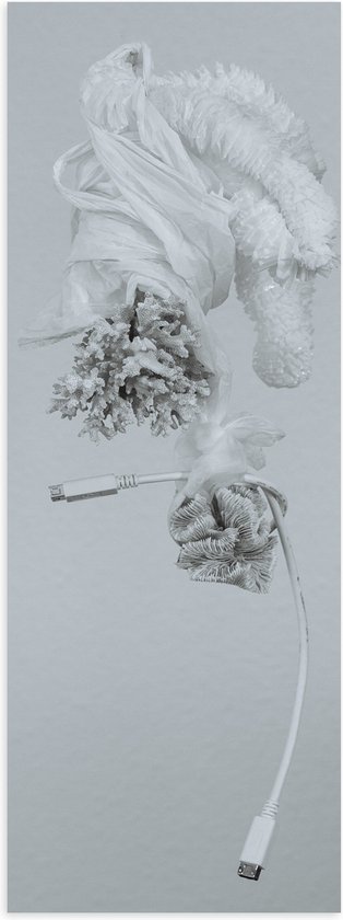 Poster (Mat) - Abstract Wit Paardenhoofd van Bloemen en Stekker tegen Witte Achtergrond - 20x60 cm Foto op Posterpapier met een Matte look