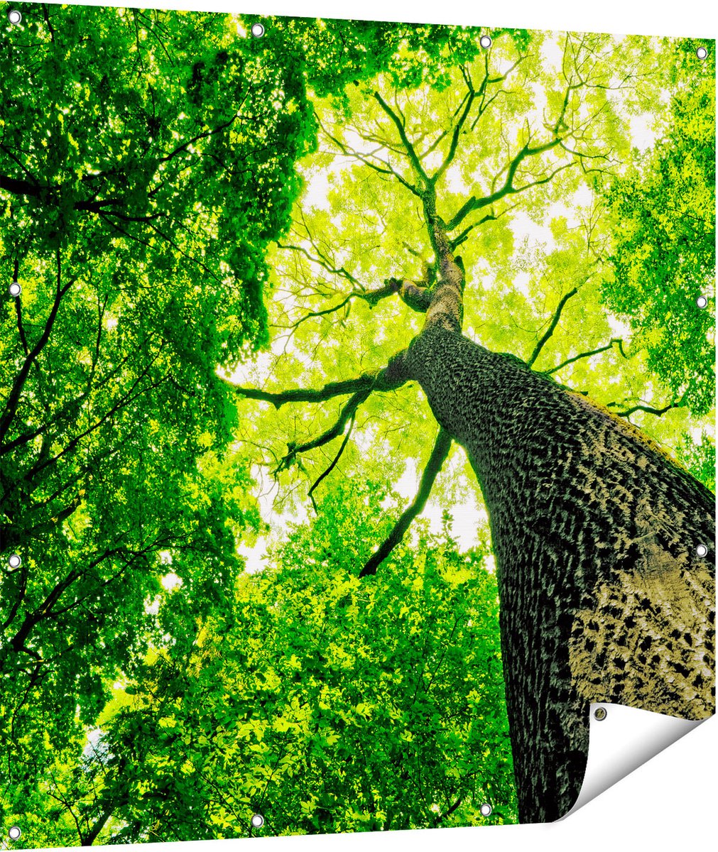 Gards Tuinposter Boom in het Bos met Fel Groene Bladeren - 110x110 cm - Tuindoek - Tuindecoratie - Wanddecoratie buiten - Tuinschilderij Multikleur