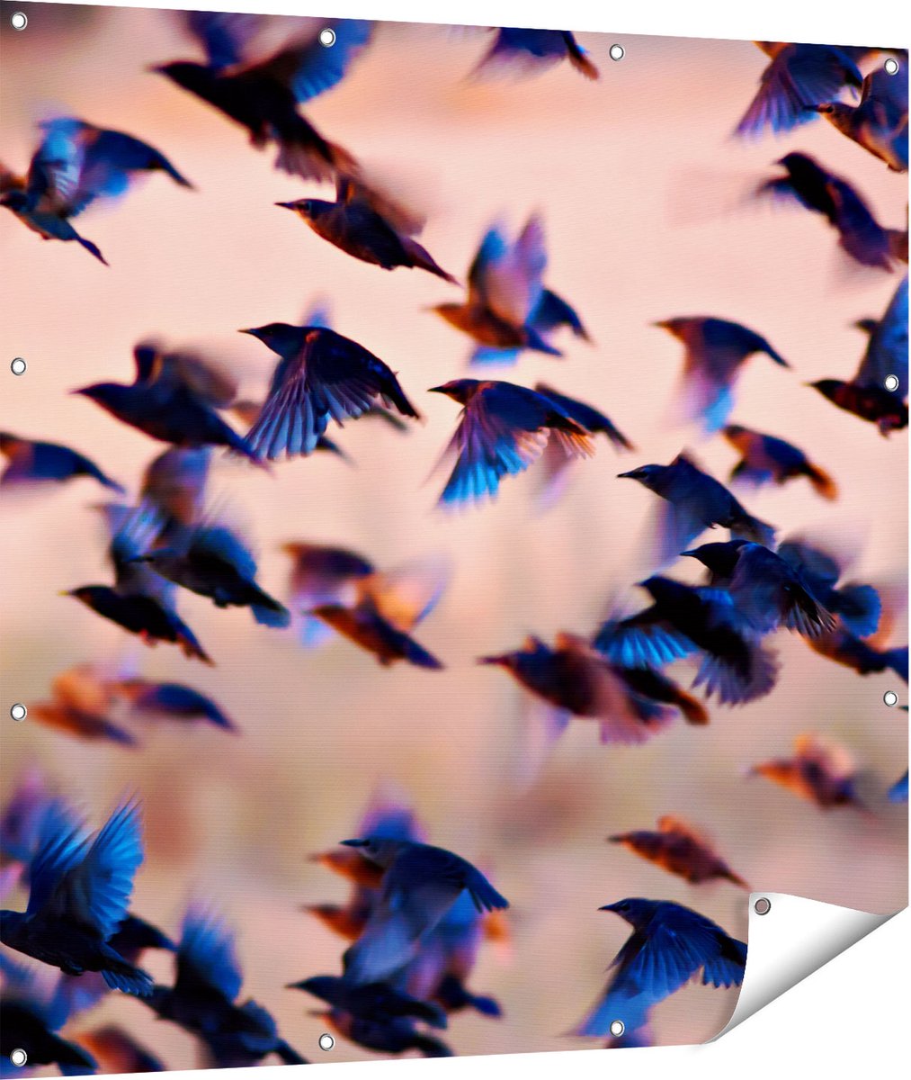 Gards Tuinposter Groep Vliegende Blauwe Spreeuw Vogels - 110x110 cm - Tuindoek - Tuindecoratie - Wanddecoratie buiten - Tuinschilderij Multikleur