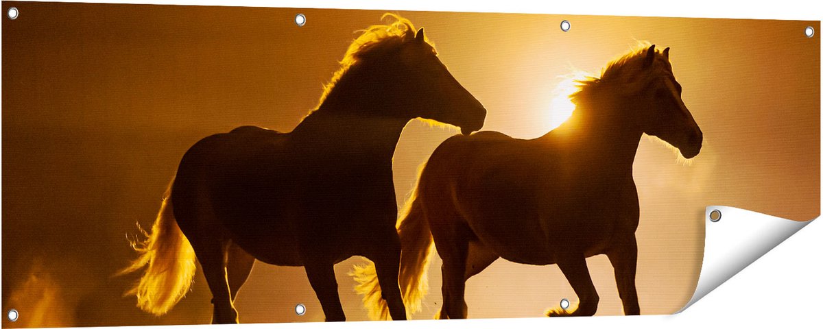 Gards Tuinposter Silhouet van Twee Paarden - 150x50 cm - Tuindoek - Tuindecoratie - Wanddecoratie buiten - Tuinschilderij Multikleur