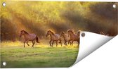 Gards Tuinposter Kudde Bruine Paarden in de Wei - 60x30 cm - Tuindoek - Tuindecoratie - Wanddecoratie buiten - Tuinschilderij