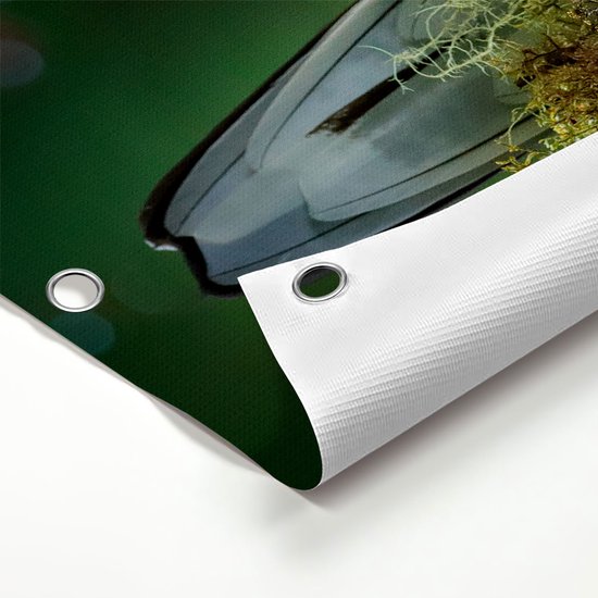 Gards Affiche de jardin Deux Vogels Quetzal verts sur une branche - 100x80 cm - Toile jardin - Décoration de jardin - Décoration murale extérieur - Tableau jardin