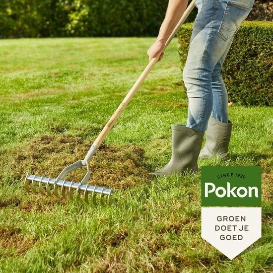 Pokon Graszaad Inzaai - 250gr - Gazonzaad - Geschikt voor 12,5m² - IJzersterk groen en zelfherstellend gras - Pokon