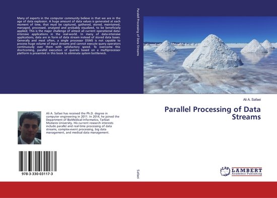 Parallel Processing of Data Streams - cover
