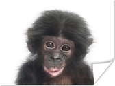 Poster Aap - Dieren - Natuur - Chimpansee - 40x30 cm