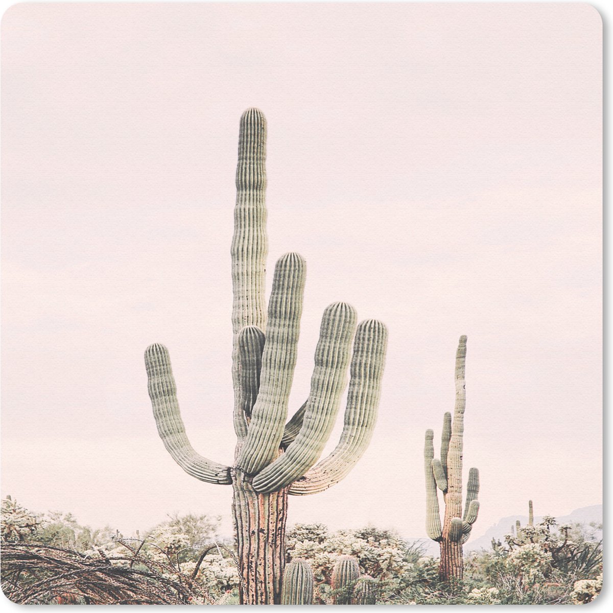 Muismat 20x20 cm - Mousepad Cactus - Groen - Natuur - Planten - Muismatten