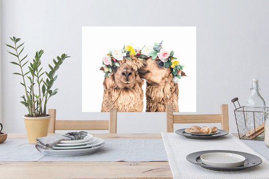 Alpaga - Fleurs - Animaux - Nature