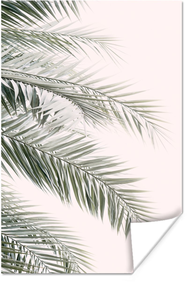 Poster Plant - Groen - Natuur - Wit - 80x120 cm