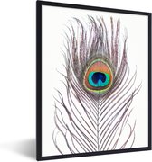 Fotolijst incl. Poster - Pauwenveren - Blauw - Veer - Pauw - Dieren - 60x80 cm - Posterlijst