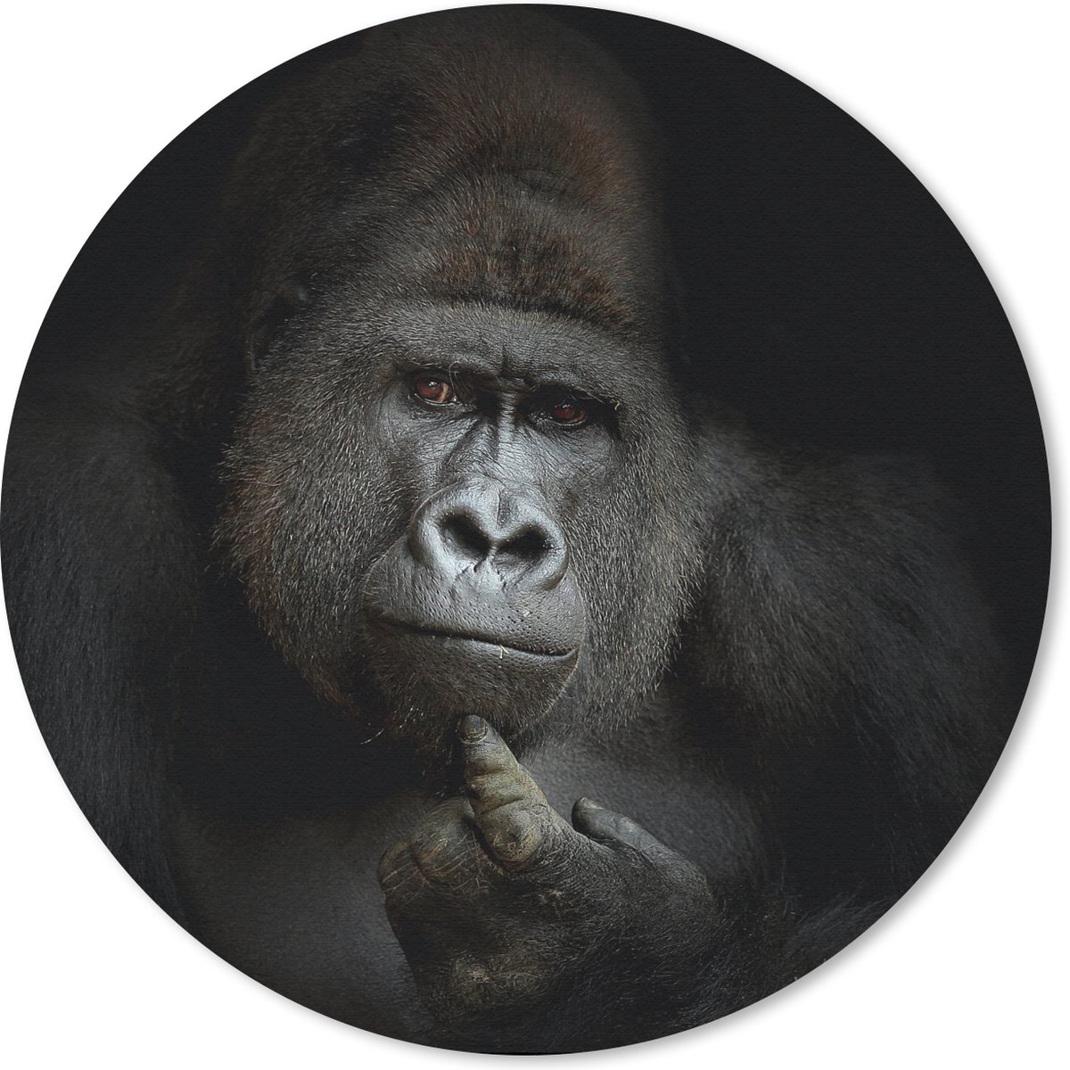 Muismat rond 20x20 cm - Mousepad Gorilla - Aap - Dieren - Zwart wit - Ronde muismatten