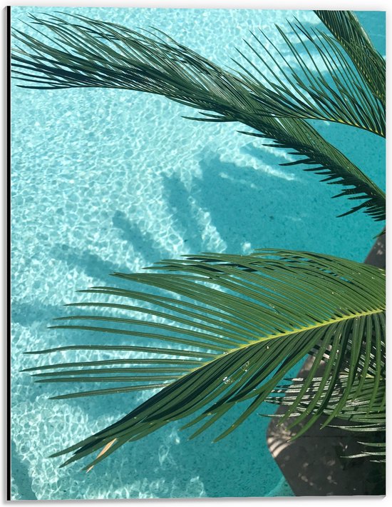WallClassics - Dibond - Palmbladeren Hangend boven Zwembad - 30x40 cm Foto op Aluminium (Met Ophangsysteem)